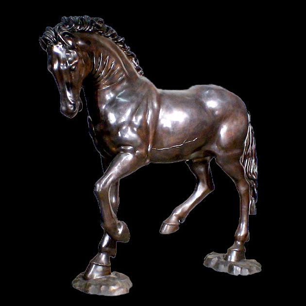 roman horse black